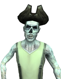 Jolly Roger, Pirates Online Wiki