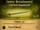 Heavy Broadsword