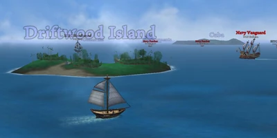 Island Driftwood
