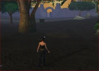 On the far end of the Marching Grounds