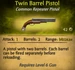 Twin Barrel Pistol