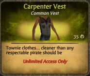 Gray Carpenter Vest