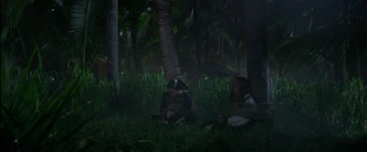  e  legati a due palme.