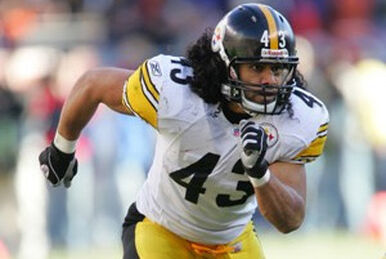 Troy Polamalu Pittsburgh Steelers Mitchell & Ness Retired Player