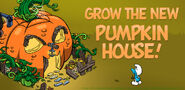 Grow the new Pumpkin House!