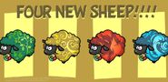 Four new sheeps!