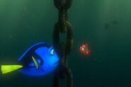 Dory meets Nemo