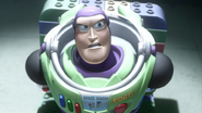 Buzz0037