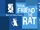 Your Friend the Rat