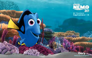 Dory