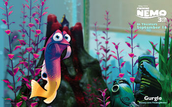 Gurgle-FindingNemo3D