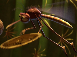 Mosquito-Barman