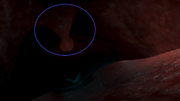 Nemo whale uvula circled