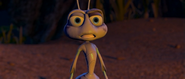 Even though he has been bruised and tortured by Thumper, Flik has the courage to stand up to Hopper.