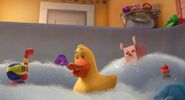 Chuck the Rubber Duck