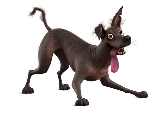 dog from coco