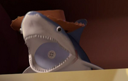Shark with Woody's hat on