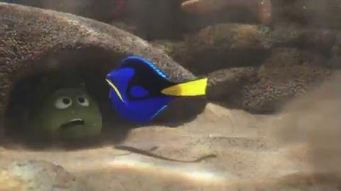 Disney España Buscando a Dory Primer tráiler