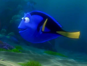 Dory | Wiki Pixar | Fandom