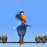 Big Bird Pixar Wiki Fandom You get a sense of their personalities until the rest of the flock arrives 31.08.2016 · it's a wednesday so it must be time for another short film review.