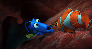 inside whale finding nemo