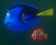 Nemo-&-Dory 7
