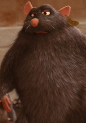 Buff rat cheap