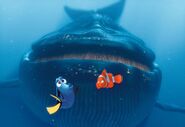 The Whale behind Marlin and Dory (with his toothbrush-like baleen visible as his mouth opens)