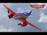 Bulldog (Бульдог)