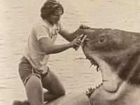 Jaws-bruce