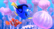 Dory and the jellyfish