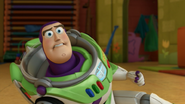 Buzz0035