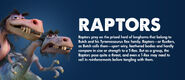 Raptor Information