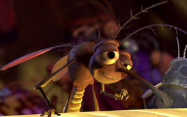 Bar Mosquito