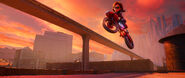 Elasticgirl Sunset Cycle