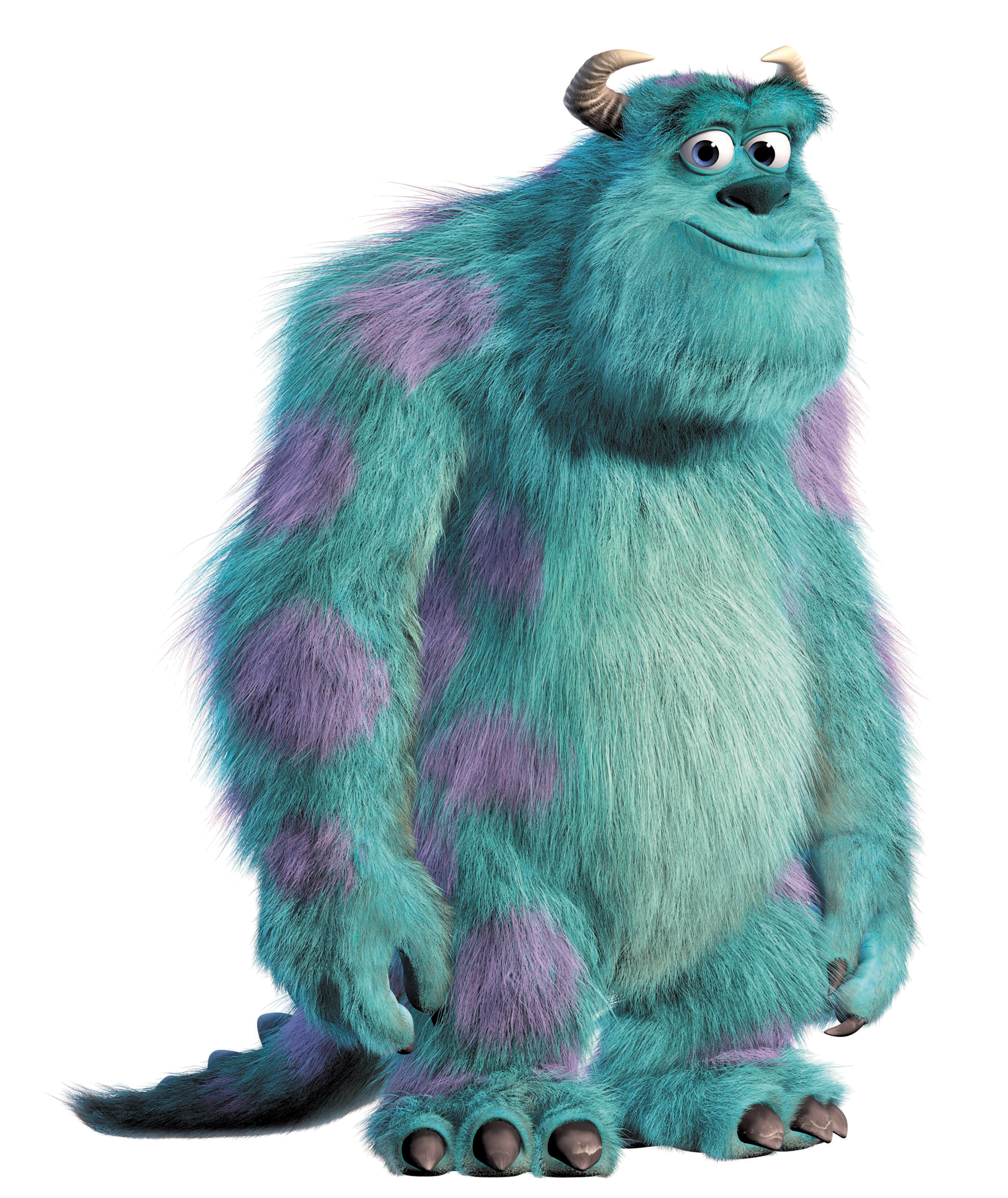 sully teddy