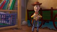 Woody 004