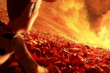 Where the Red Fern Grows | Disney Wiki | Fandom