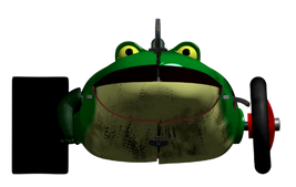 The Frog