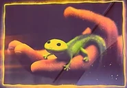 A slideshow shows Tom Lizard as a reference to Hoppers.