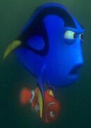 Nemo-dory8