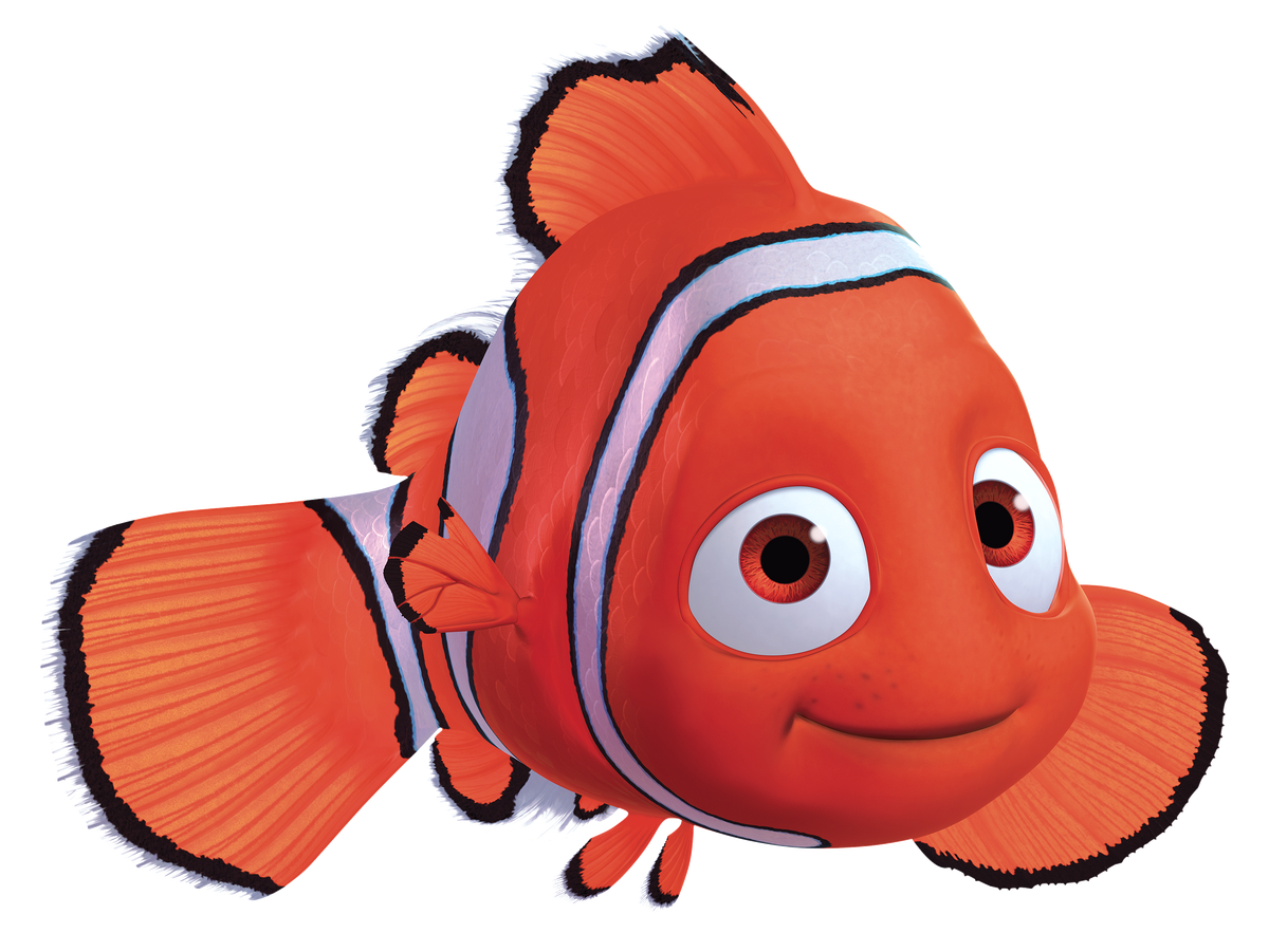 Dory - Wikipedia