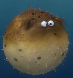 Finding nemo deals puffer fish