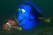 Nemo-&-Dory 2