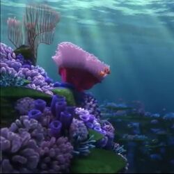 Category Finding Nemo Locations Pixar Wiki Fandom
