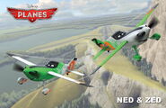 Planes nedzed rollout final