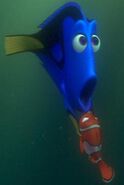 Nemo-&-Dory 5