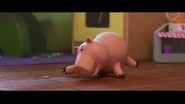 Vlcsnap-2020-01-04-09h37m32s932.png (404 KB)