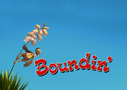 Boundin Main Page.png