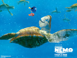 Crush Pixar Wiki Fandom Crush Pixar Wiki Fandom
